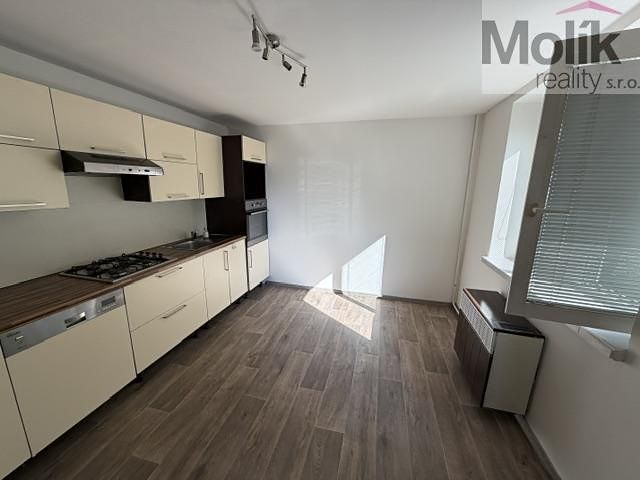 Pronájem bytu 2+1 51 m² – fotografie 3