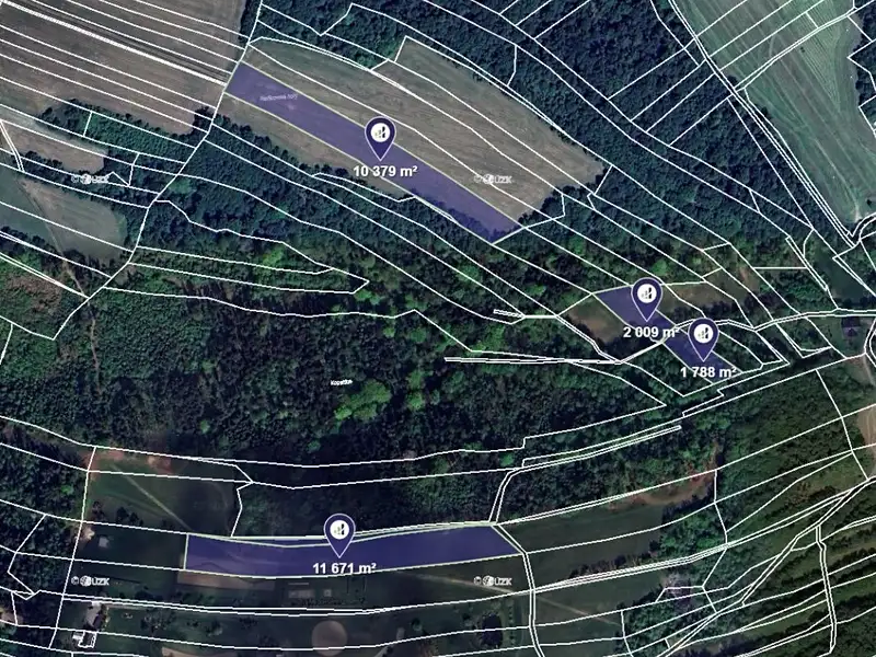 Prodej pole 77991 m², Hranice – náhled fotky 2