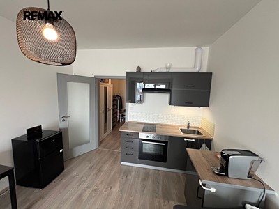 Pronájem bytu 1+kk 36 m²