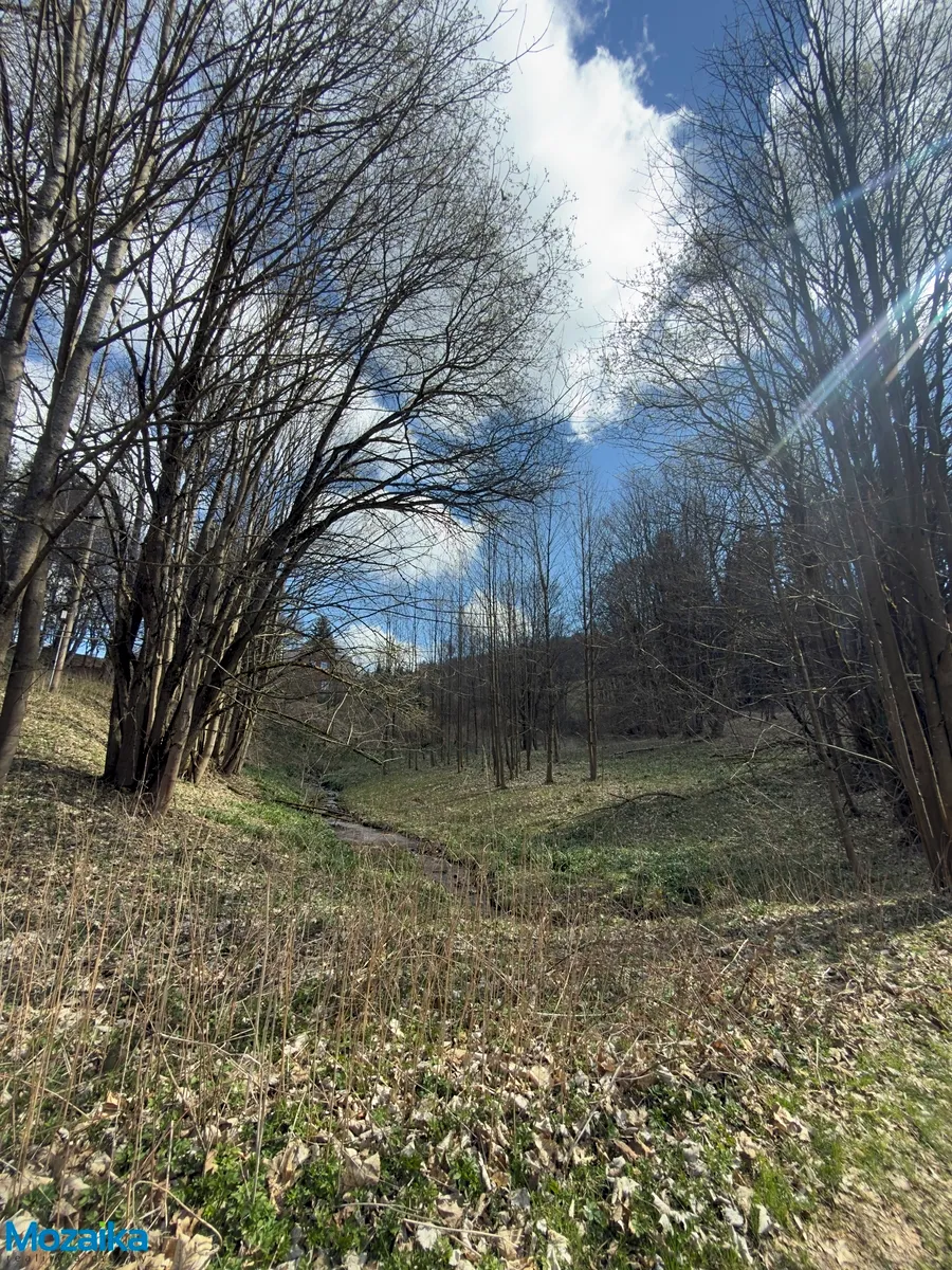 Prodej louky 9974 m²