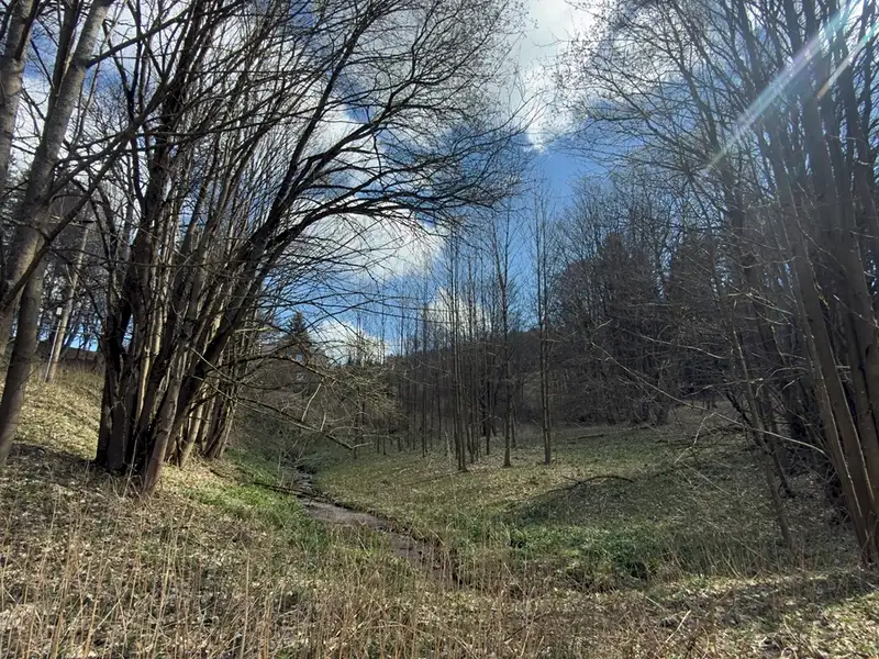 Prodej louky 9974 m², Výprachtice – náhled fotky 1