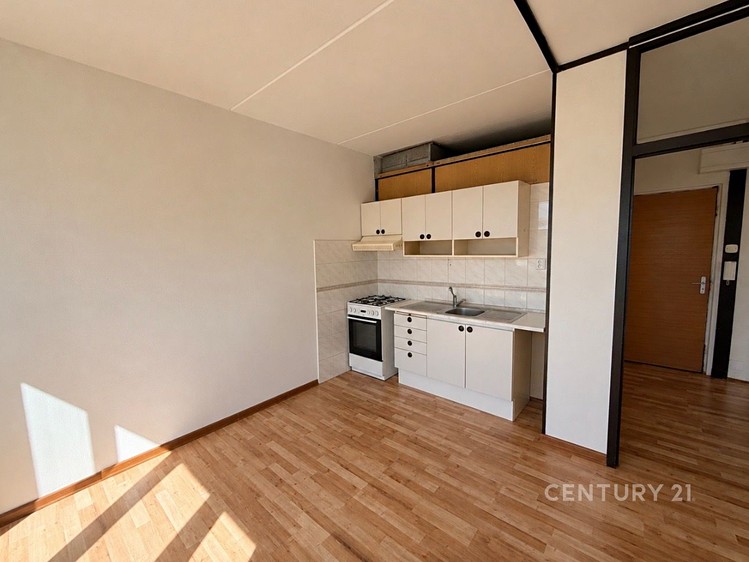 Wohnung 2+kk zur Miete, 41 m² (1 von 5)