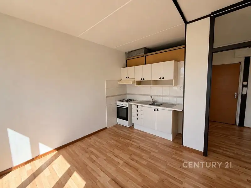 Pronájem bytu 2+kk 41 m², Žatec – náhled fotky 1