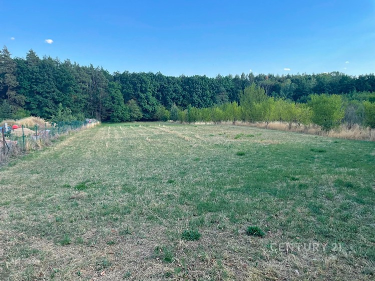 Ділянка на продаж, 3 256 м² (9 з 11)