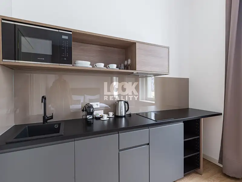 Pronájem bytu 1+kk 24 m², Praha – náhled fotky 3