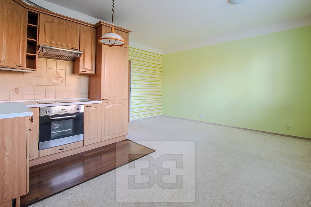 Pronájem bytu 1+kk 29 m²