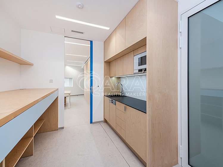 Gewerbefläche zur Miete, 240 m² (14 von 40)