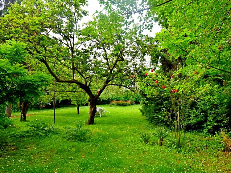 Gewerbefläche zur Miete, 60 m² (5 von 19)