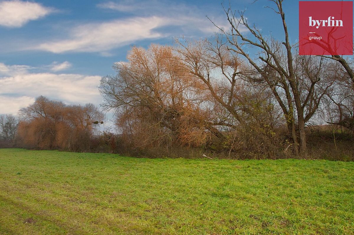 Prodej pole 604 m² – fotografie 3