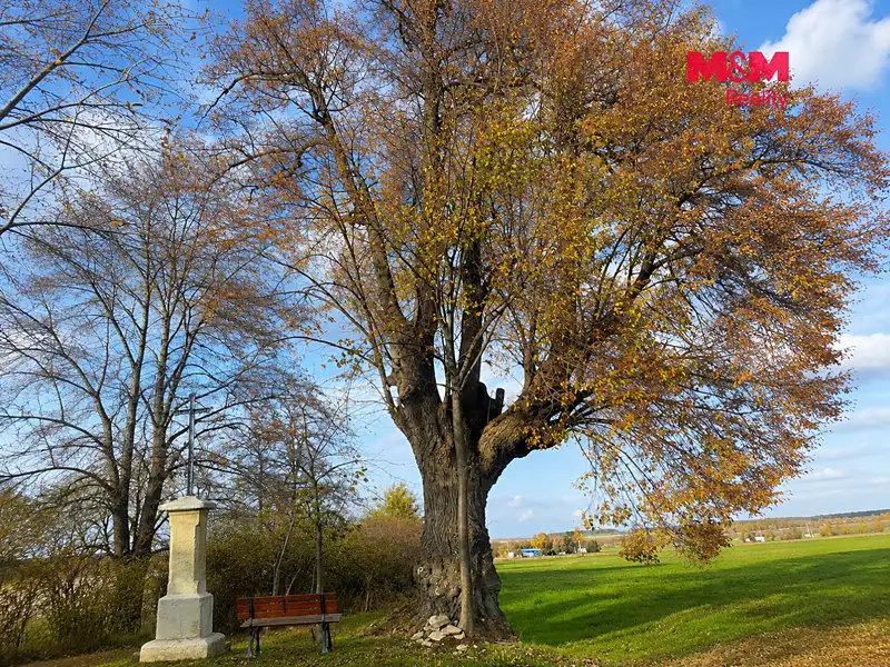 Prodej zahrady 327 m², Kořenice – náhled fotky 2