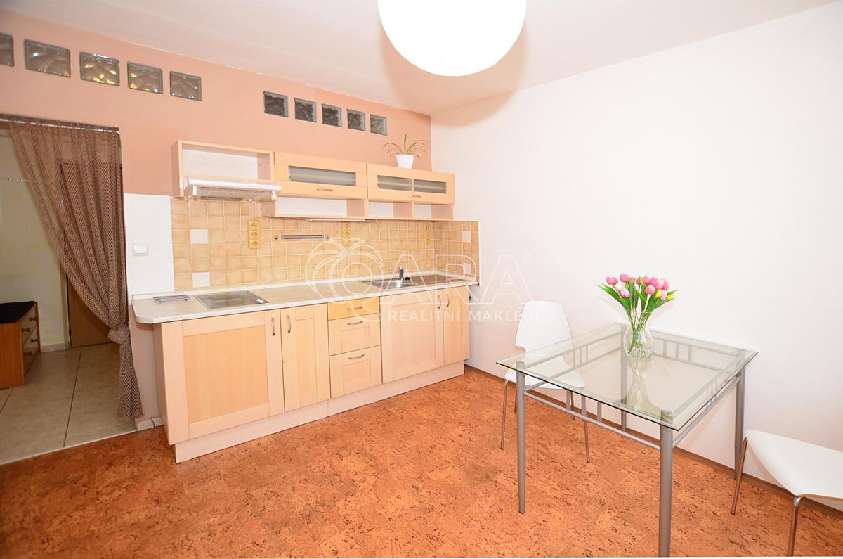 Pronájem bytu 1+1 39 m²