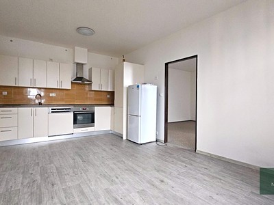 Pronájem bytu atypické 74 m²