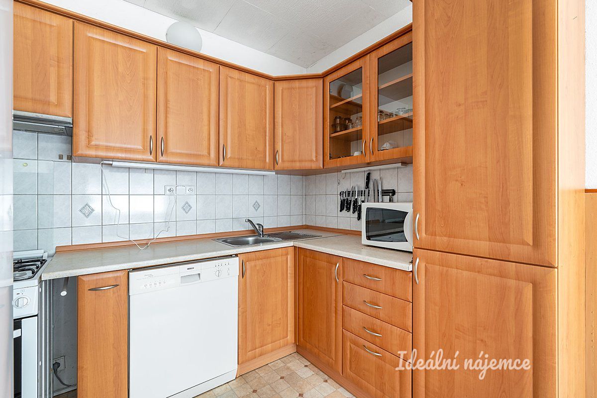 Pronájem bytu 3+1 67 m²