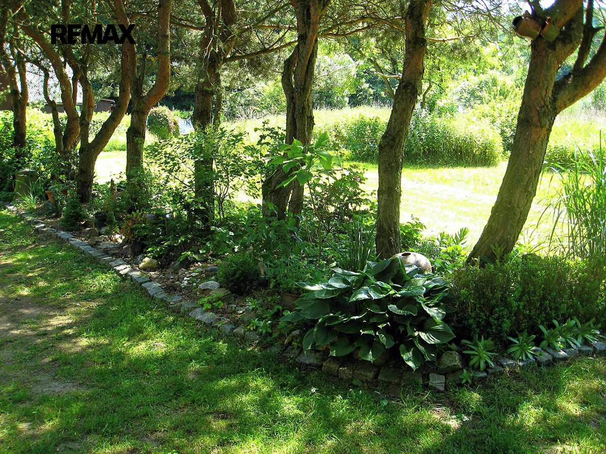 Prodej chaty 42 m², pozemek 7297 m² – fotografie 3