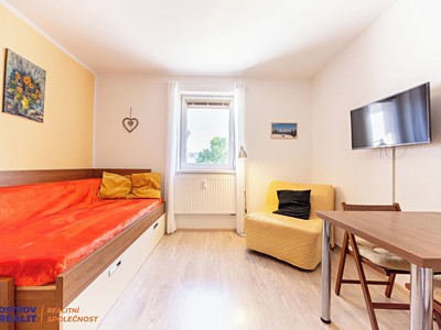 Pronájem bytu 1+kk 20 m²