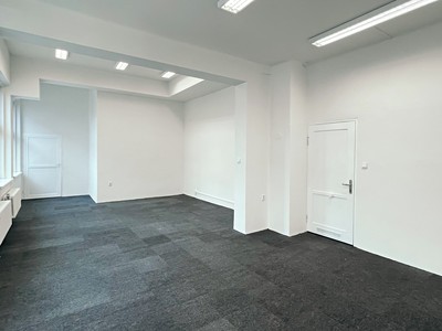 Pronájem komerčního prostoru, 44 m² (3 z 7)