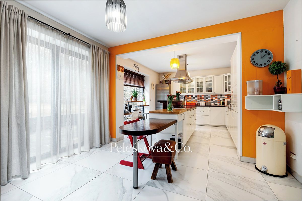 Prodej rodinného domu 383 m², pozemek 1088 m² – fotografie 4