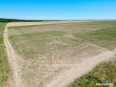 Prodej pole 3220 m²