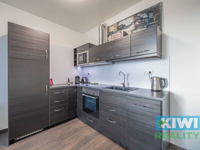 Pronájem bytu 2+kk 55 m²