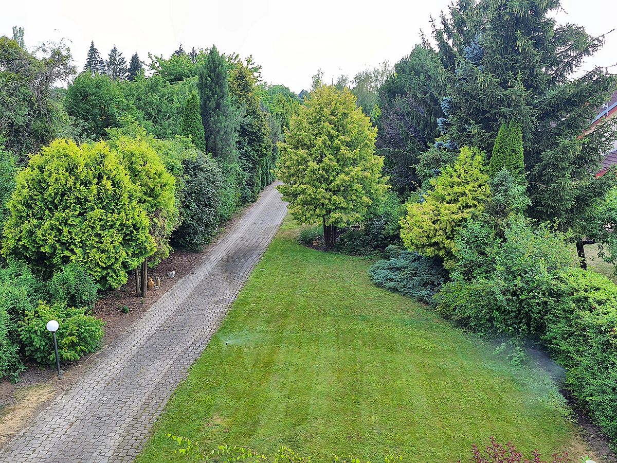 Prodej rodinného domu 140 m², pozemek 2634 m² – fotografie 3
