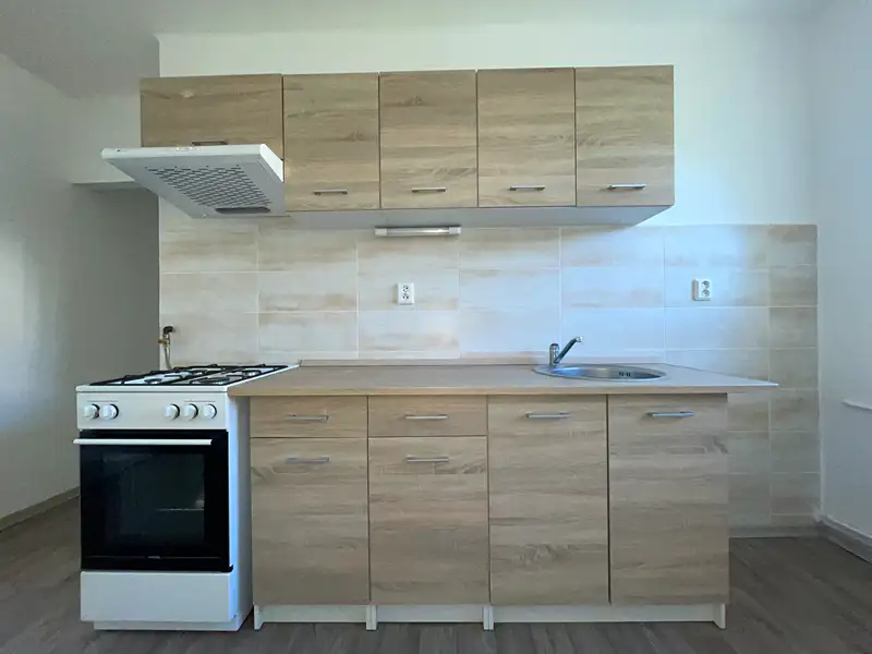 Pronájem bytu 2+1 53 m², Ústí nad Labem – náhled fotky 2