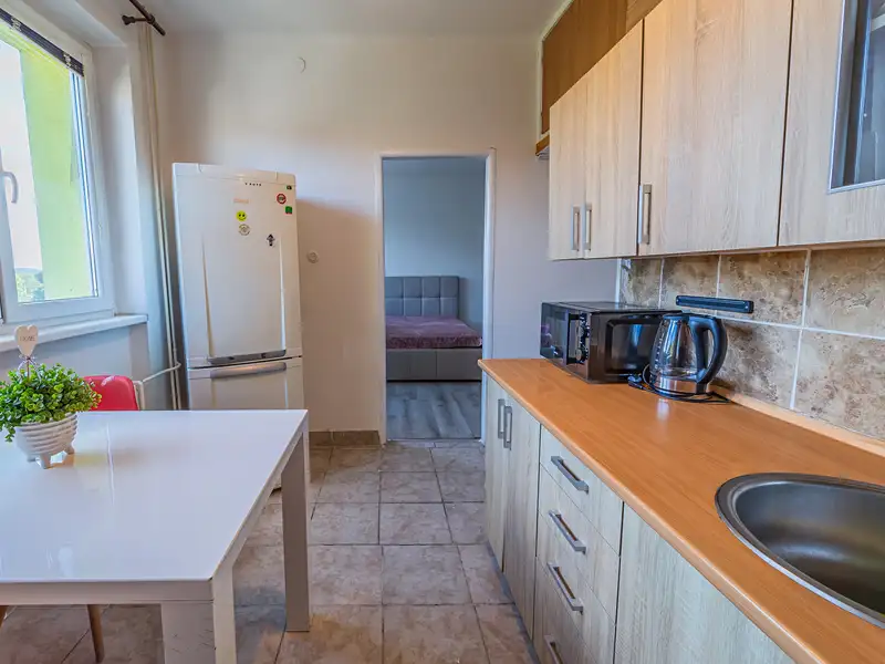 Prodej bytu 1+1 44 m², Habartov – náhled fotky 3
