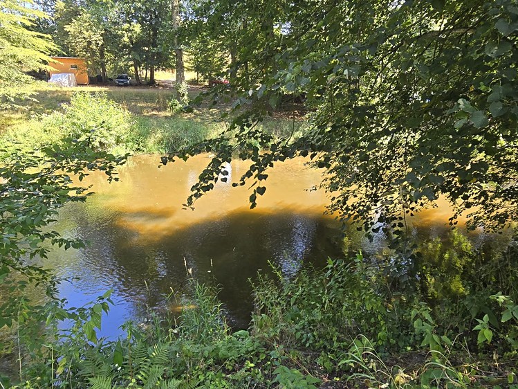 Ostatní