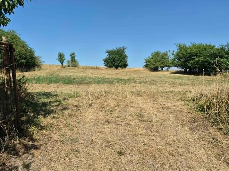 Prodej rodinného domu 200 m², pozemek 2980 m², Nechanice – náhled fotky 3