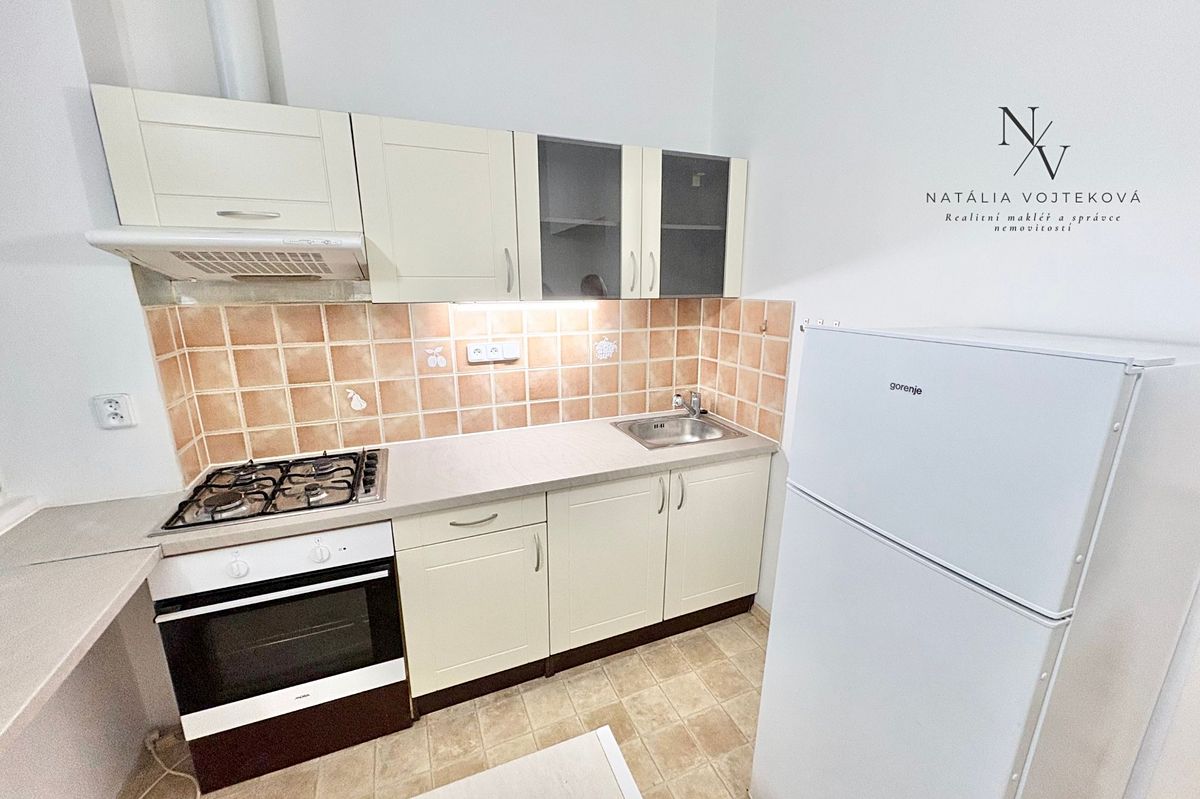 Pronájem bytu 1+1 51 m²