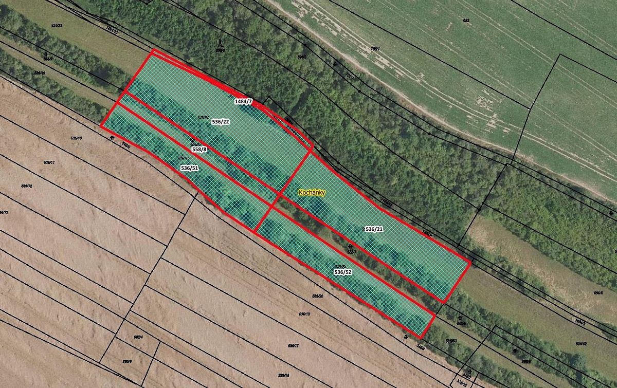 Prodej pole 10351 m², Kochánky – fotka 1 z 3