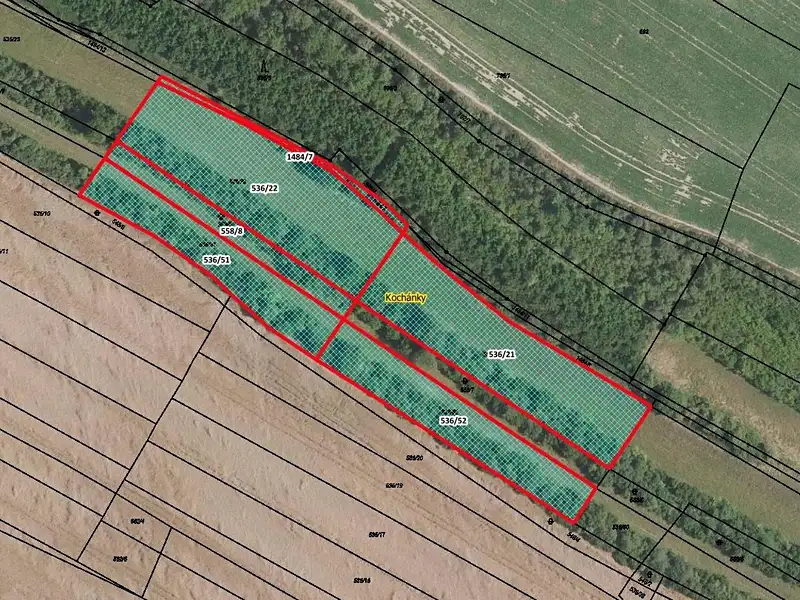 Prodej pole 10351 m², Kochánky – náhled fotky 1