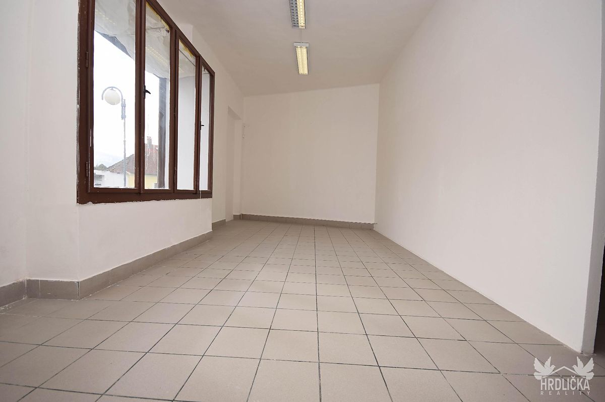 Prodej obchodního prostoru 173 m² – fotografie 4