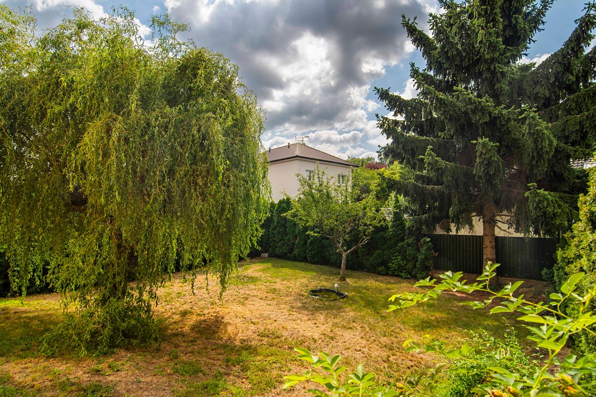 Prodej rodinného domu 181 m², pozemek 300 m² – fotografie 3
