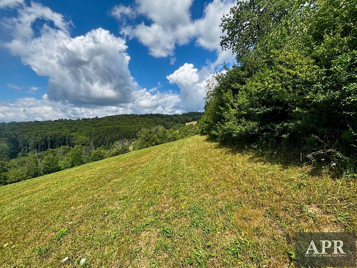 Prodej stavebního pozemku 6433 m² – fotografie 3