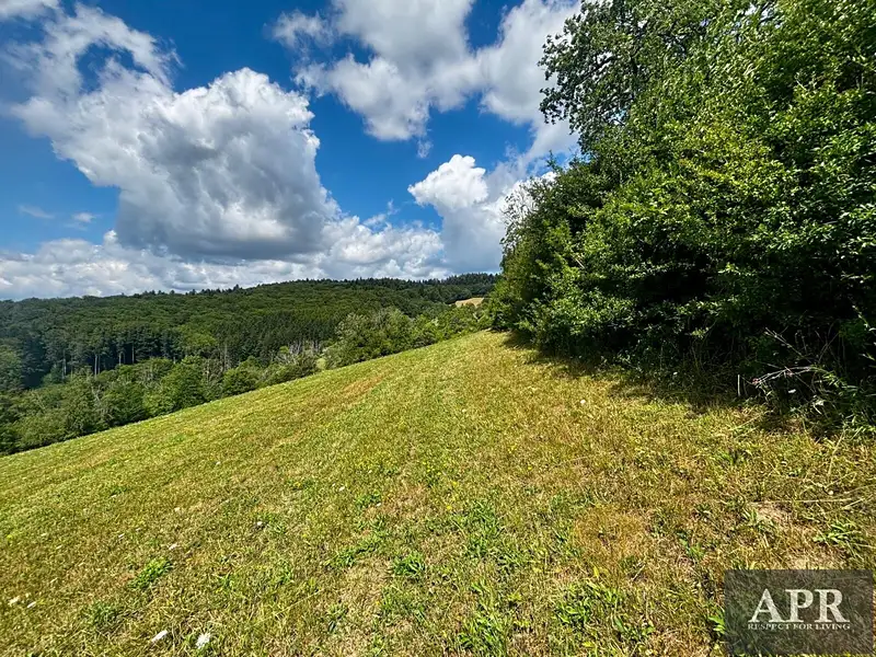 Prodej stavebního pozemku 6433 m², Žítková – náhled fotky 3