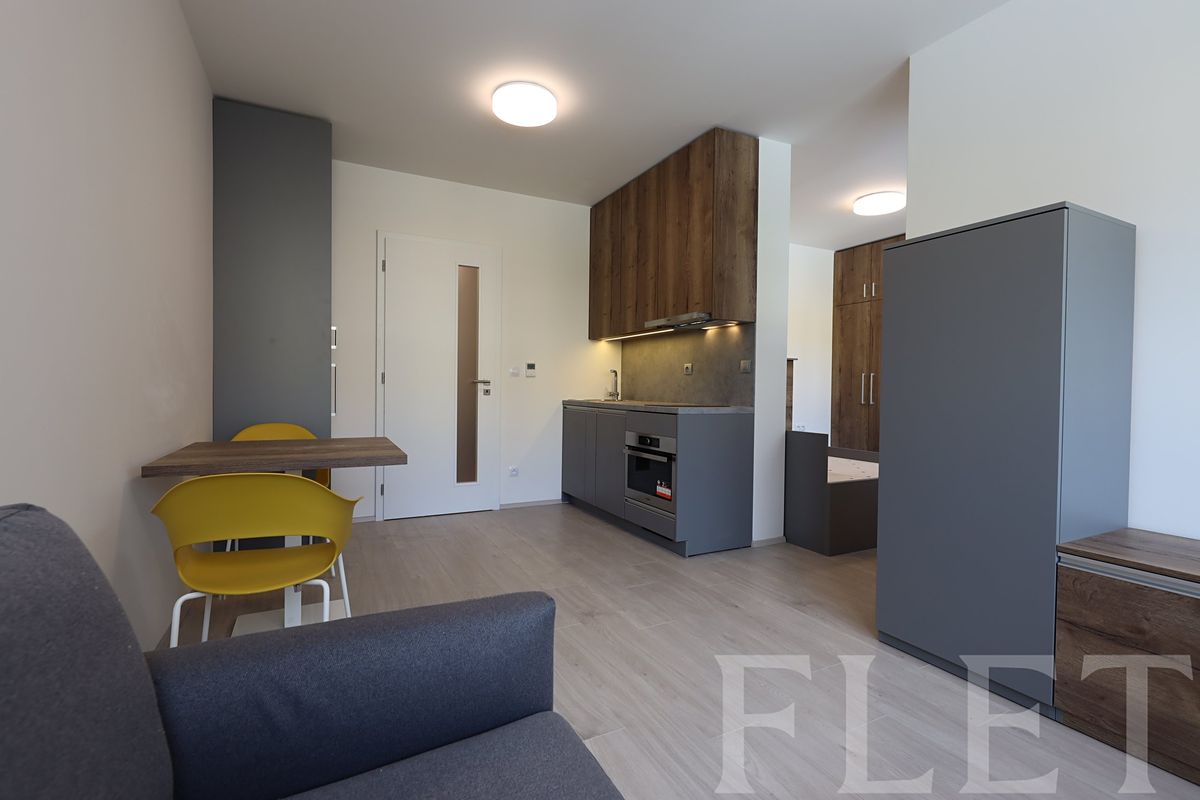 Pronájem bytu 1+kk 38 m²