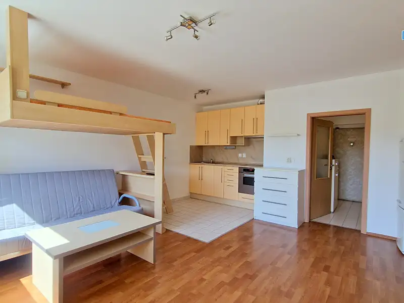 Pronájem bytu 1+kk 41 m², Praha – náhled fotky 3