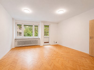 Pronájem bytu 1+1 45 m²
