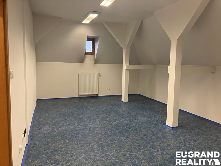 Pronájem komerčního prostoru, 151 m² (10 z 17)