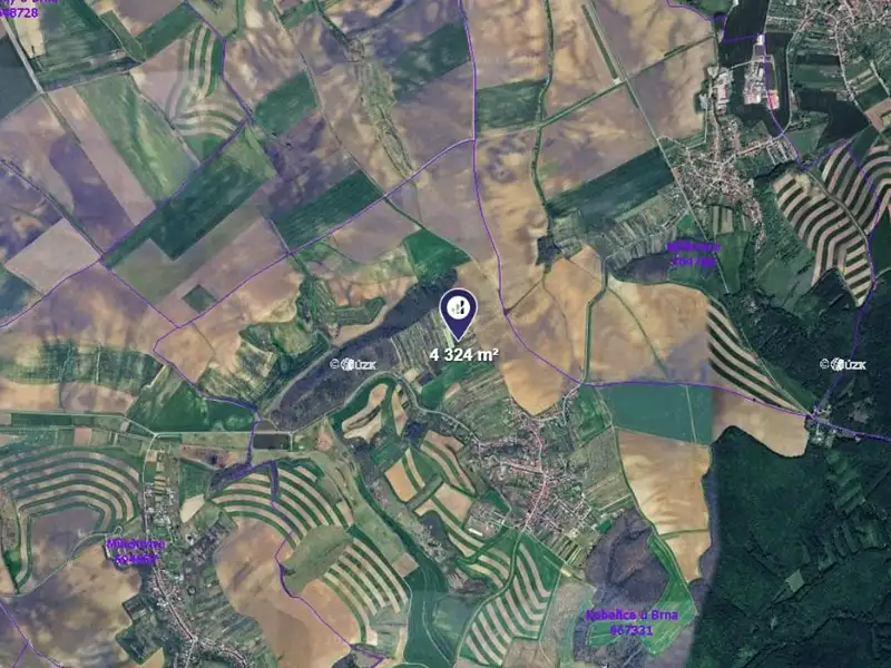 Prodej zahrady 4324 m², Kobeřice u Brna – náhled fotky 2