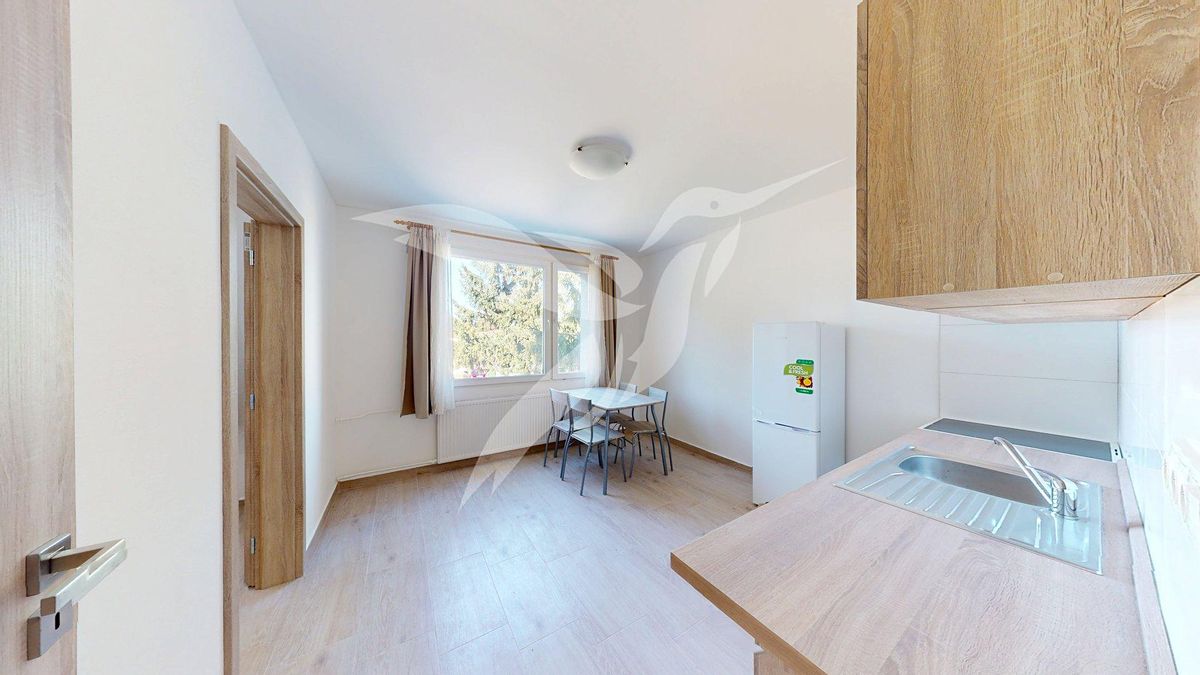 Pronájem bytu 3+kk 44 m² – fotografie 4
