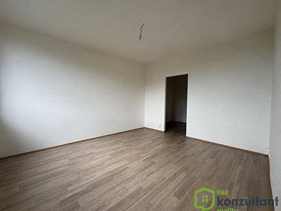 Pronájem bytu 1+1, 45 m² (2 z 15)