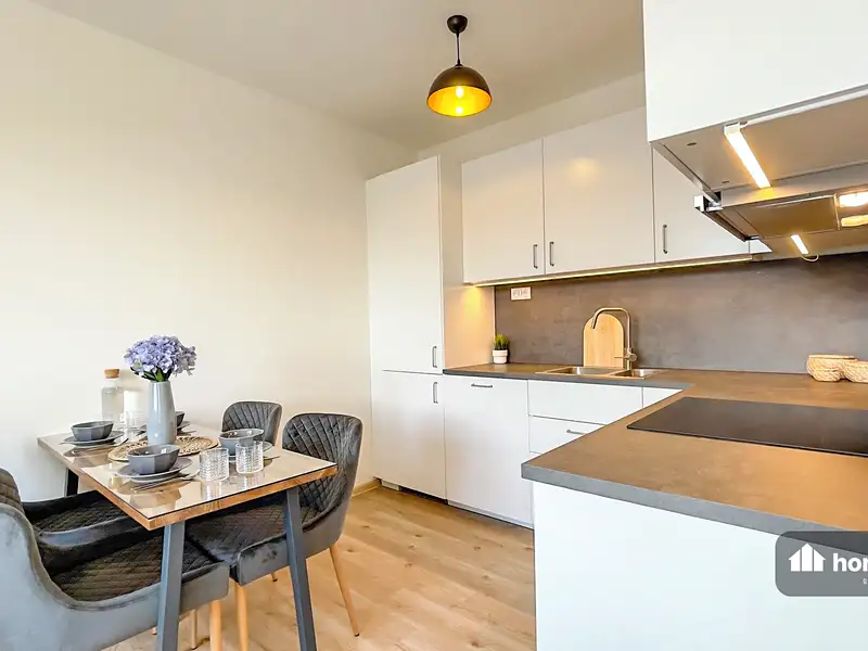 Pronájem bytu 1+kk 44 m², Dašice – náhled fotky 2