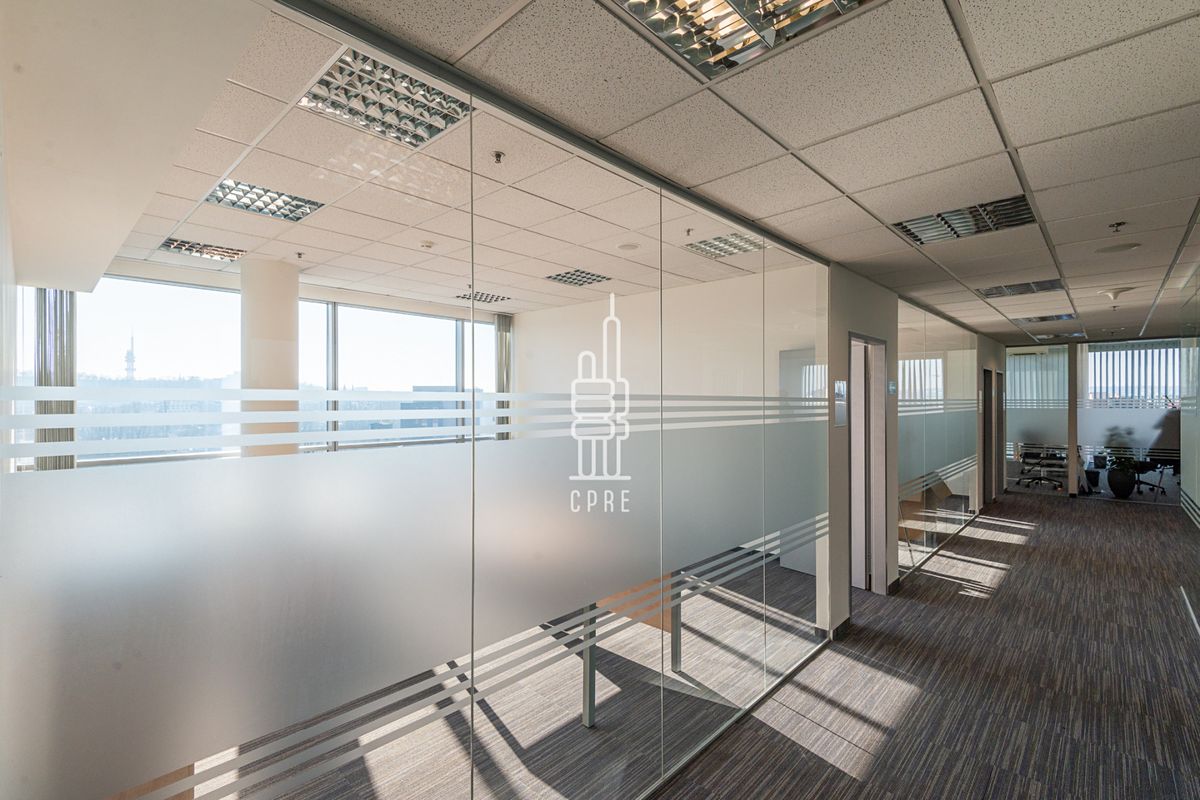 Pronájem kanceláře 244 m² – fotografie 4