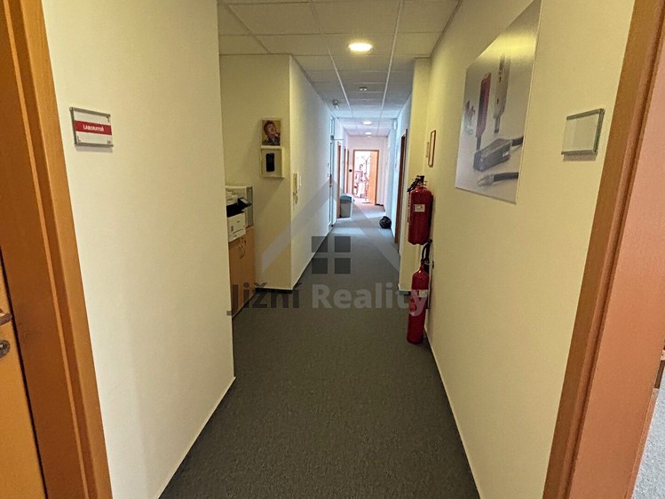 Gewerbefläche zur Miete, 250 m² (12 von 13)
