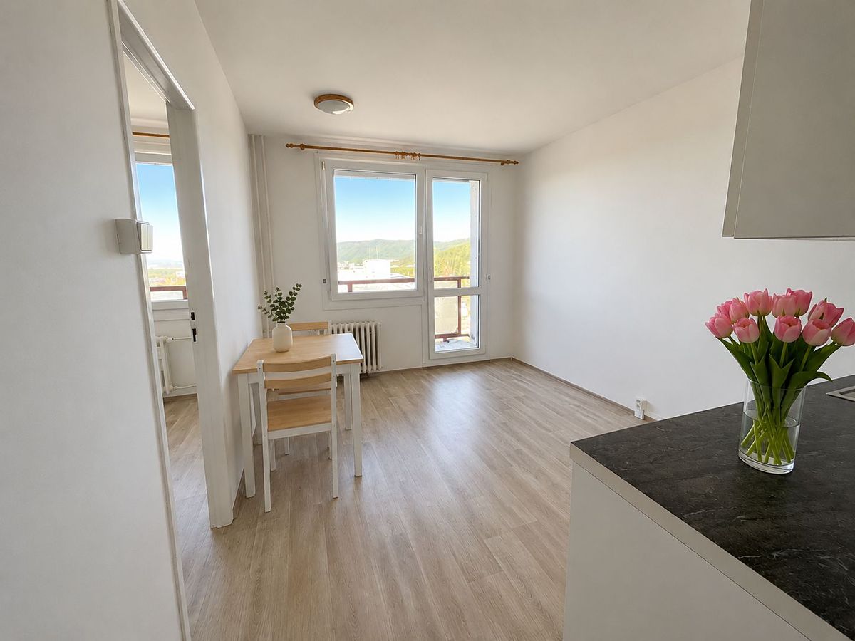 Pronájem bytu 1+1 37 m² – fotografie 3
