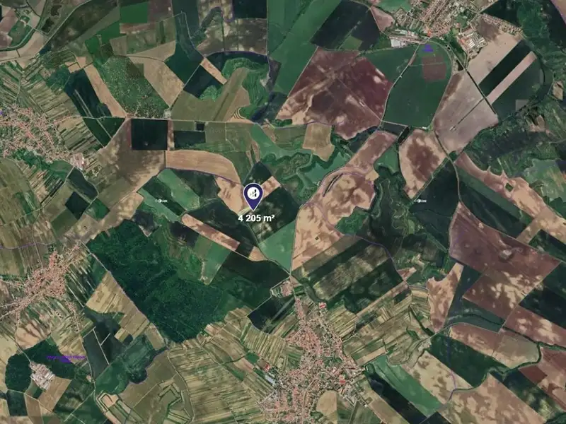 Prodej pole 4205 m², Čejkovice – náhled fotky 2