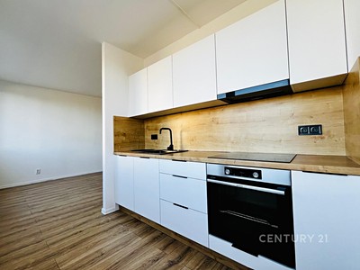 Pronájem bytu 3+1 68 m²