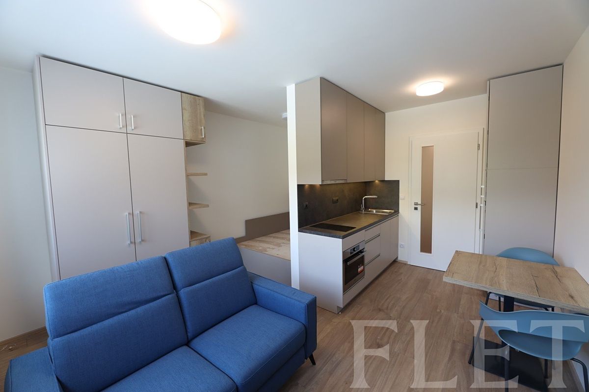 Pronájem bytu 1+kk 30 m²