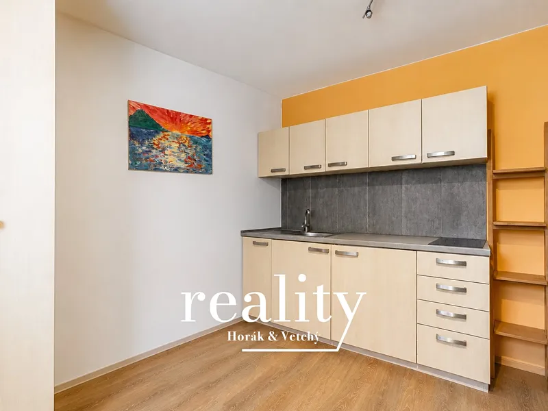 Prodej bytu 1+kk, 22 m², Brno–Husovice